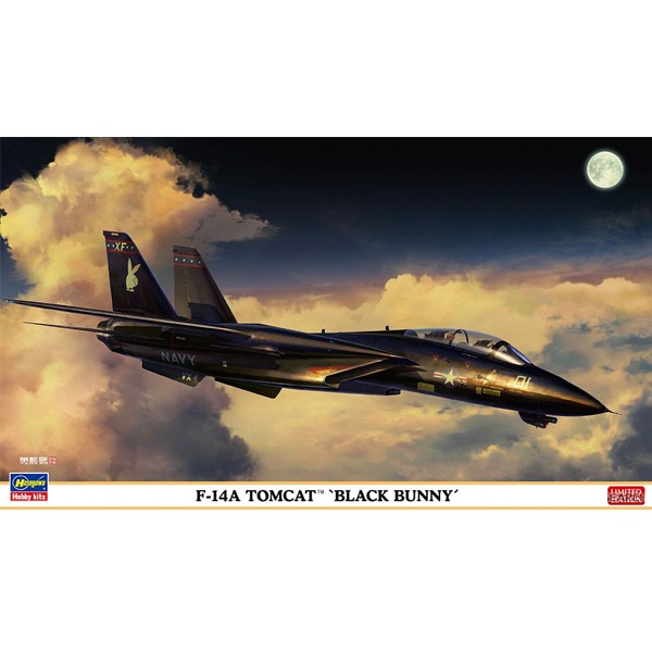 [하세가와] 1/72 F-14AB 톰캣 블랙 바니 [02377]